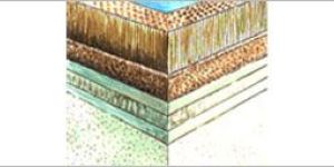 Anti-Vibration Slabs