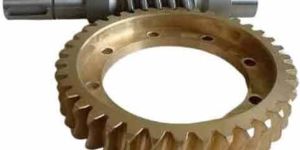 Bronze Worm Gear