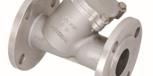 IC Y Flanged Strainer