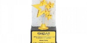 Premium Wooden Trophy ((single Size)