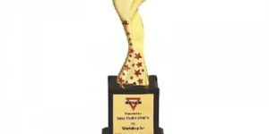 Resin Trophy with Red Stars (Single Size)