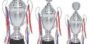 Silver Metal Cup (Small)