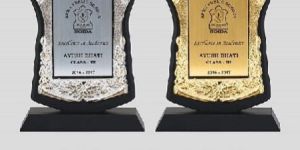 Wooden Memento with Fiber Frame (2101) (Golden)