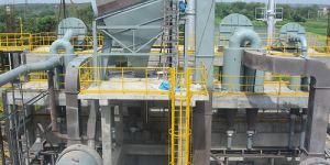 Fertilizer Plants