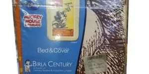 Bed Sheet Cover