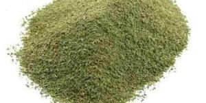 Curry Leaves Extract