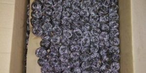 Stainless Steel Scrubber