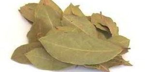 Bay Leave