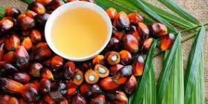 Palm Oil