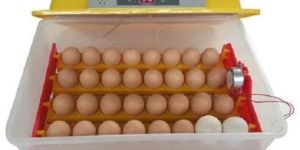 Egg Incubator