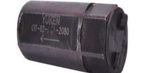 Yuken Check Valve