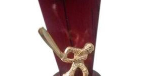 Cricket Trophies