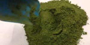 Stevia Green Powder