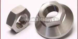 Stainless Steel Nuts