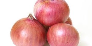Fresh Onion