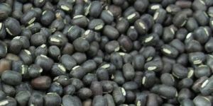 Whole Urad Dal