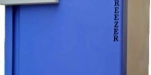 Vertical Deep Freezer