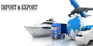 Export Import Training Service