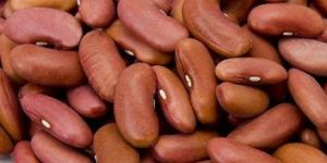 Kidney Beans