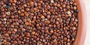 Red Quinoa Seeds