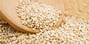 White Quinoa Seeds