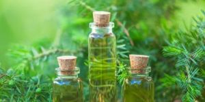 Tea Tree Oil