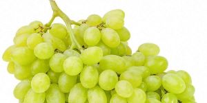 Fresh Grapes
