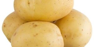 Fresh Potato