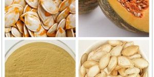 Pumpkin Seed Extract
