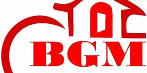 Construction Gypsum Powder