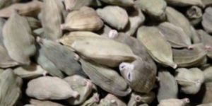Green Cardamom
