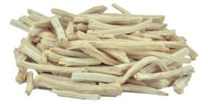 Shatavari Roots