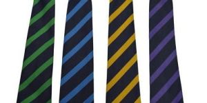 Stripped School Ties