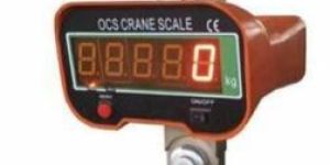 Crane Scale