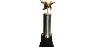 Star Award Trophy