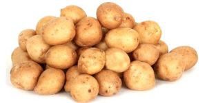 Fresh Baby Potato