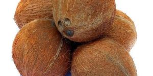 Fully Husked Coconut