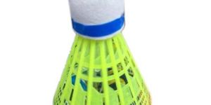 Badminton Shuttlecock