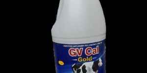 GV CAL GOLD