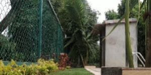 Kitchen Gardening Services