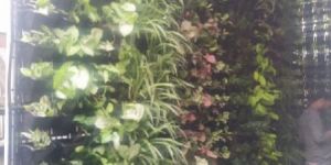 Vertical Gardening Services