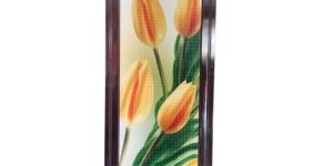 PVC Digital Printed Door