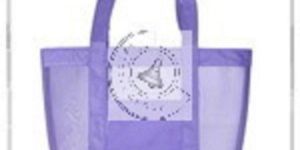 Recycled Organic Canvas Beach Bag