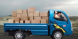 Local Transportation Services