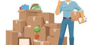 Movers Packers Services in Hyderabad