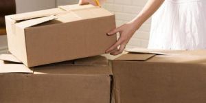 Packers and Movers Services