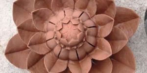 Sandstone Lotus
