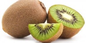 Abbott Kiwi
