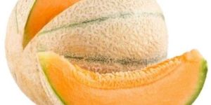 Fresh Muskmelon