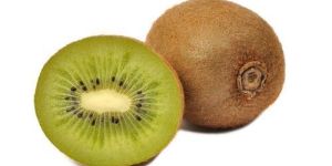 Hayward Kiwi